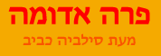פרה אדומה מעת סילביה כביב